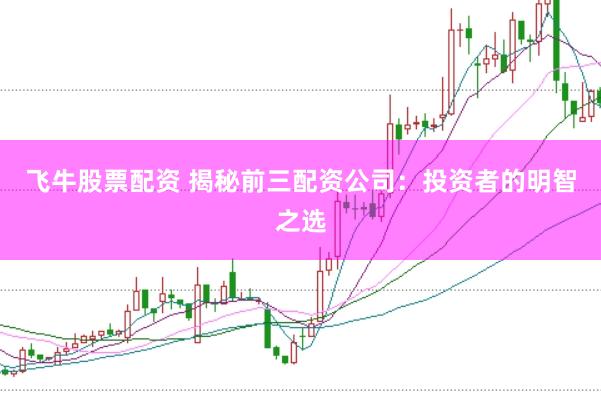 飞牛股票配资 揭秘前三配资公司：投资者的明智之选