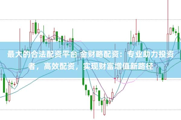 最大的合法配资平台 金财略配资：专业助力投资者，高效配资，实现财富增值新路径