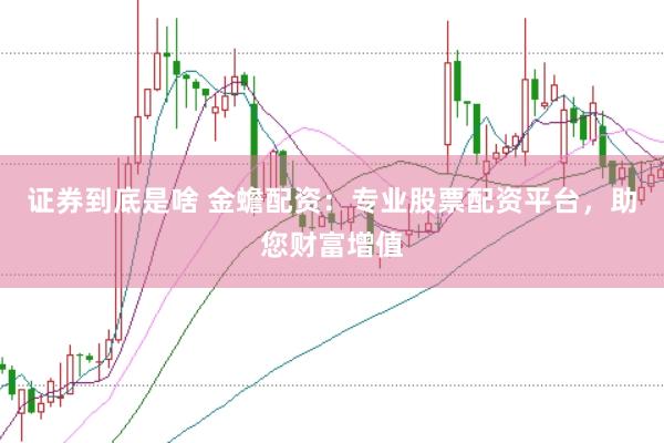 证券到底是啥 金蟾配资：专业股票配资平台，助您财富增值