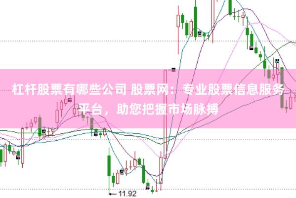 杠杆股票有哪些公司 股票网：专业股票信息服务平台，助您把握市场脉搏