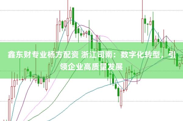 鑫东财专业杨方配资 浙江司南：数字化转型，引领企业高质量发展