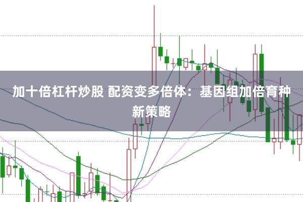 加十倍杠杆炒股 配资变多倍体：基因组加倍育种新策略