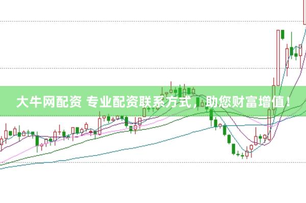 大牛网配资 专业配资联系方式，助您财富增值！