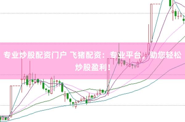 专业炒股配资门户 飞猪配资：专业平台，助您轻松炒股盈利！