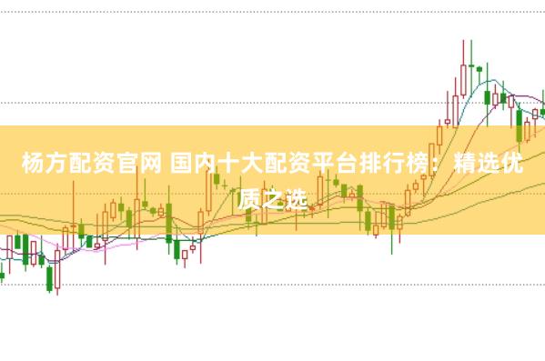 杨方配资官网 国内十大配资平台排行榜：精选优质之选