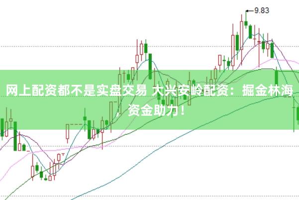 网上配资都不是实盘交易 大兴安岭配资：掘金林海，资金助力！