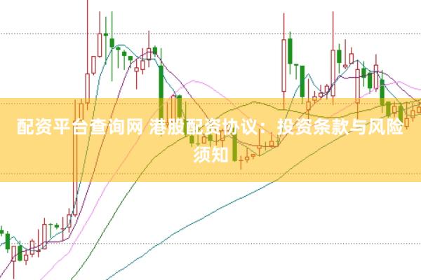 配资平台查询网 港股配资协议：投资条款与风险须知
