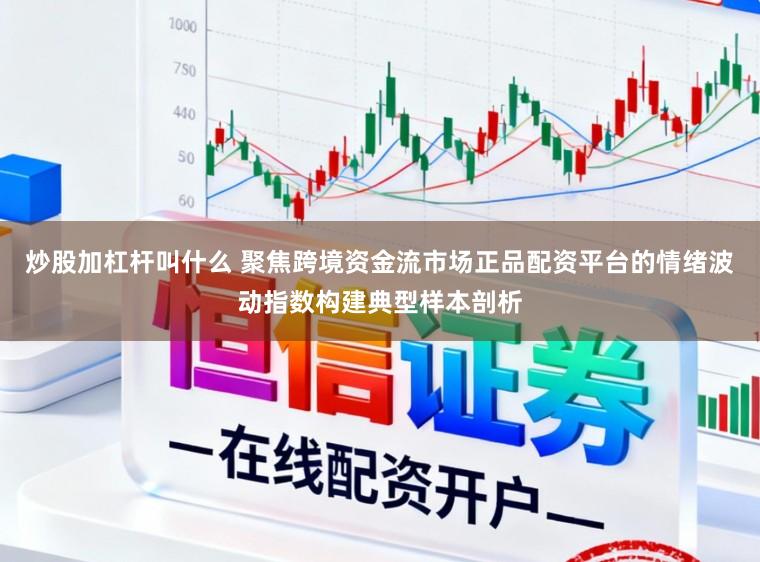 炒股加杠杆叫什么 聚焦跨境资金流市场正品配资平台的情绪波动指数构建典型样本剖析