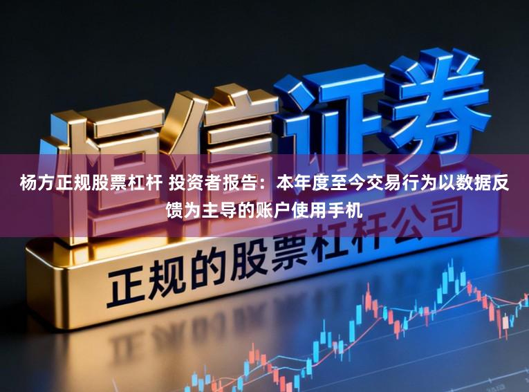 杨方正规股票杠杆 投资者报告:本年度至今交易行为以数据反馈为主导的账户使用手机